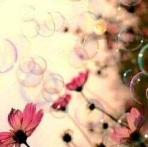 Meet your Posher, Shauna